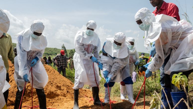 Ebola në Kongo: 1460 raste, 447 viktima