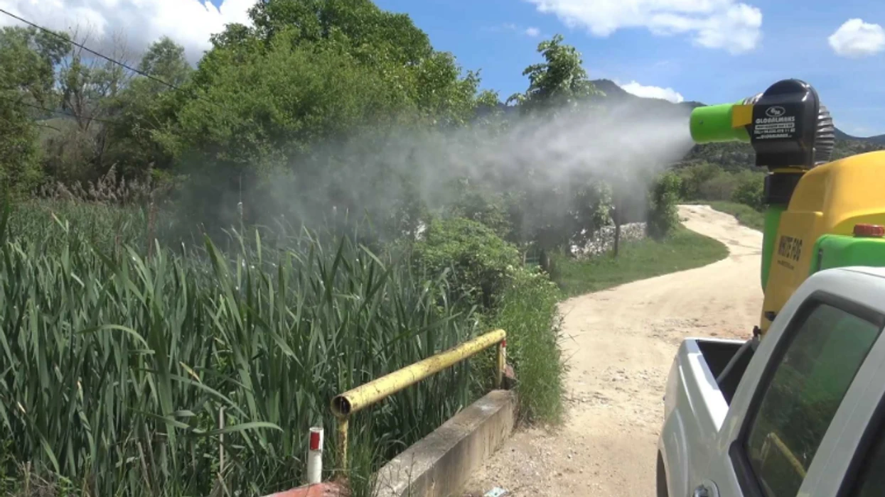 Tetovë: Dezinsektimi i dytë më 15 korrik