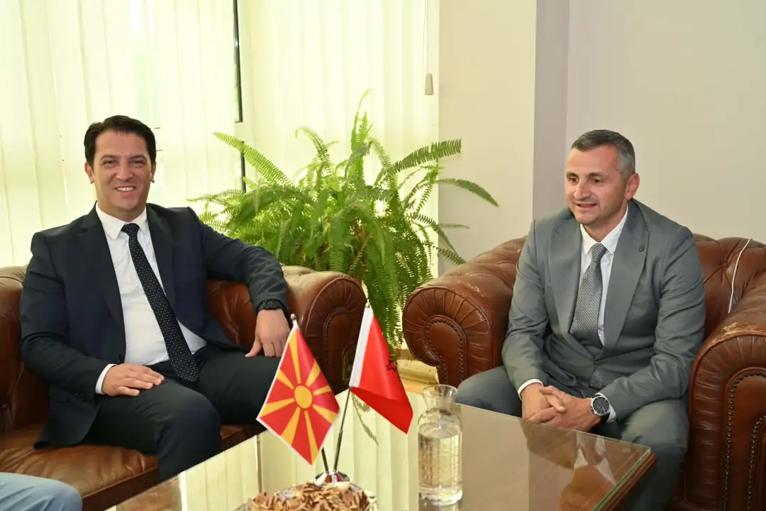 Bekim Sali: Zgjedhjet e parakohshme, ngecje për shtetin