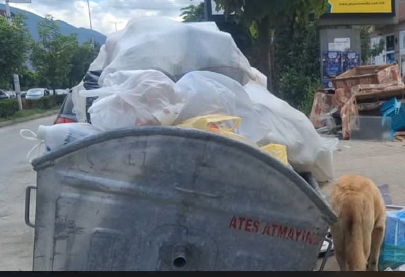Gostivar: 70 ton mbeturina, “Komunalec” me vështirësi