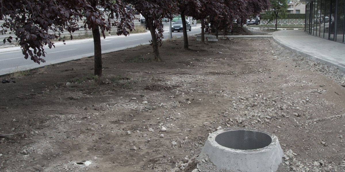 Drenas: Sheshi “Fehmi e Xhevë Lladrovci” kërkon më shumë