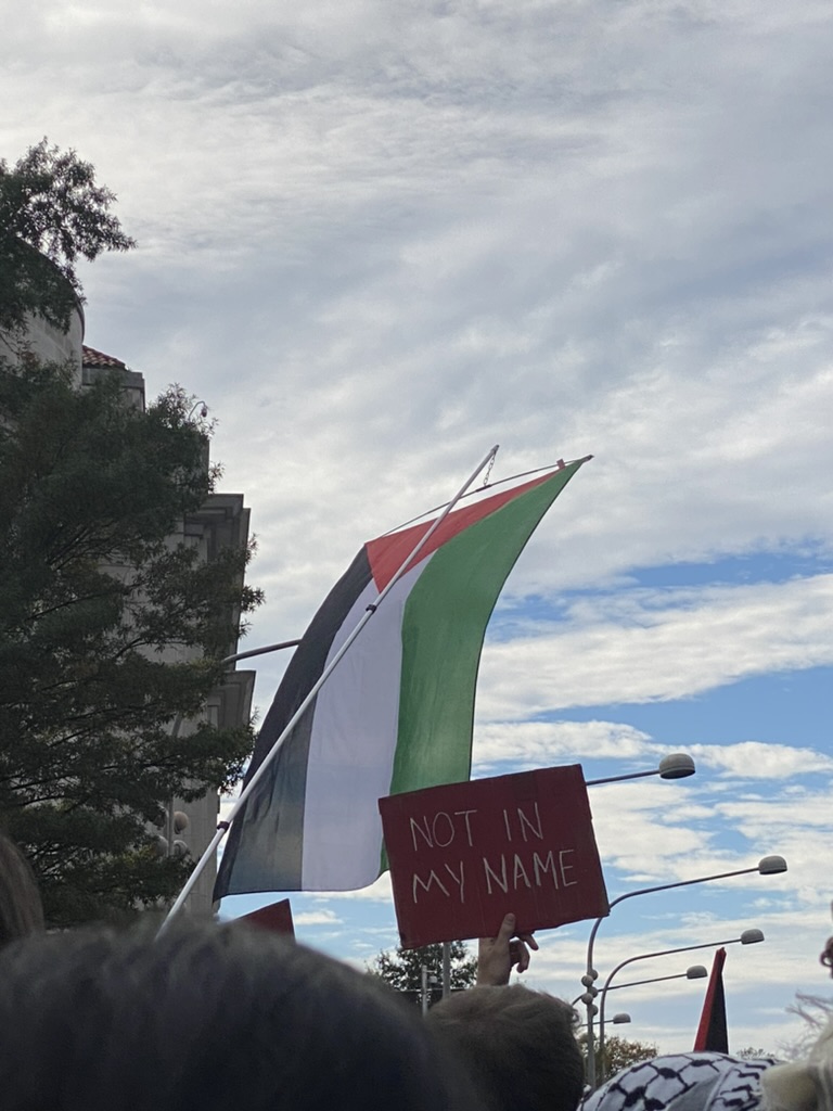 Protestë në Tiranë: Diaspora kërkon dorëheqjen e Ramës