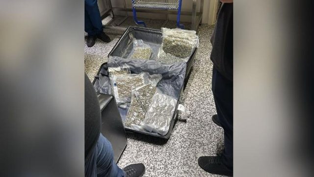 Kanabis në Rinas: Sekuestrohen 46 kg drogë nga Toronto