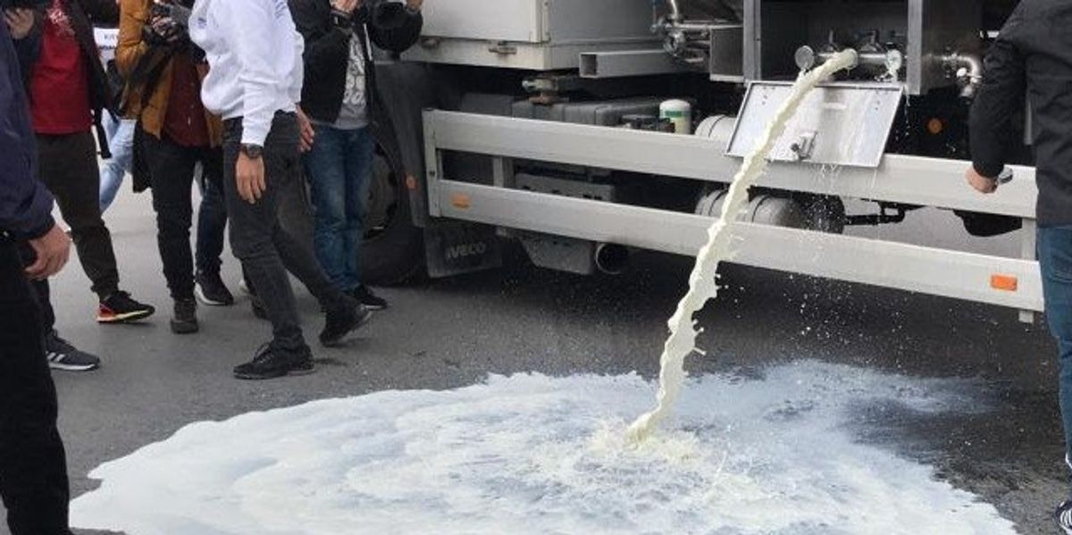 Fermerët e qumështit protestojnë para Ministrisë