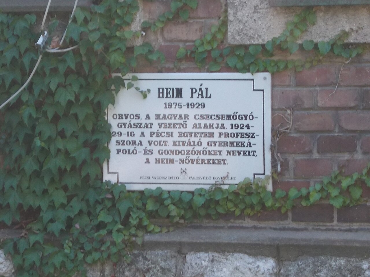 Sallat Kirurgjikale të Rinovuara, ende Jo Funksionale