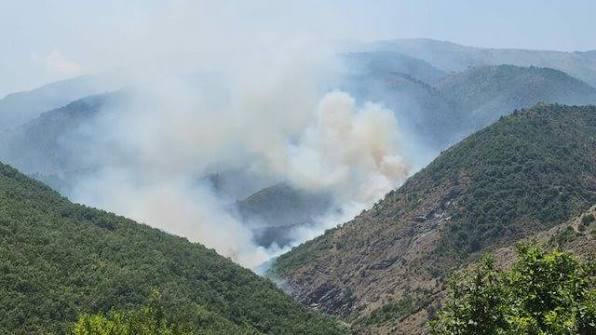 Zjarr i dyshuar në Mat, rrezikohet bimësia
