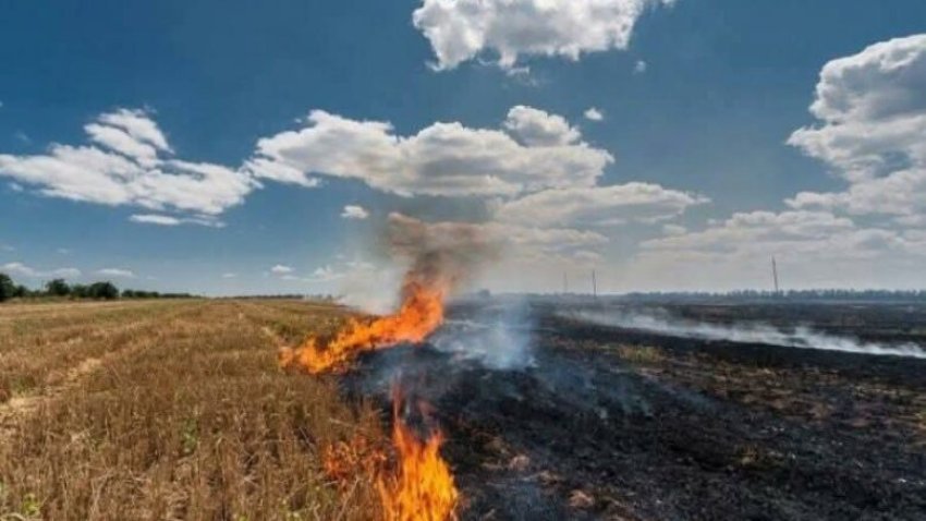 17 zjarre në natyrë, 16 shuhen brenda 24 orëve