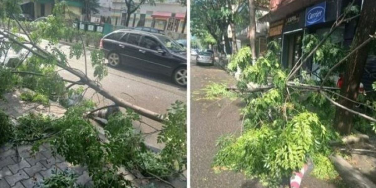 Stuhi në Elbasan: Pemë të rrëzuara, dëme në shtylla