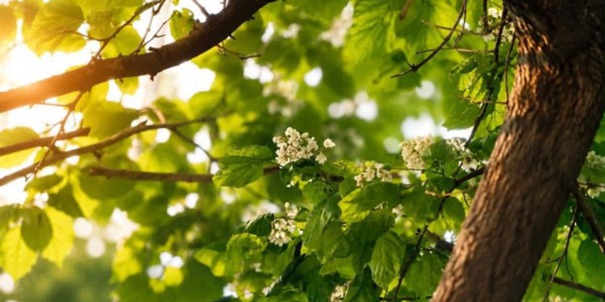 Mot me diell, temperatura deri në 25°C të shtunën