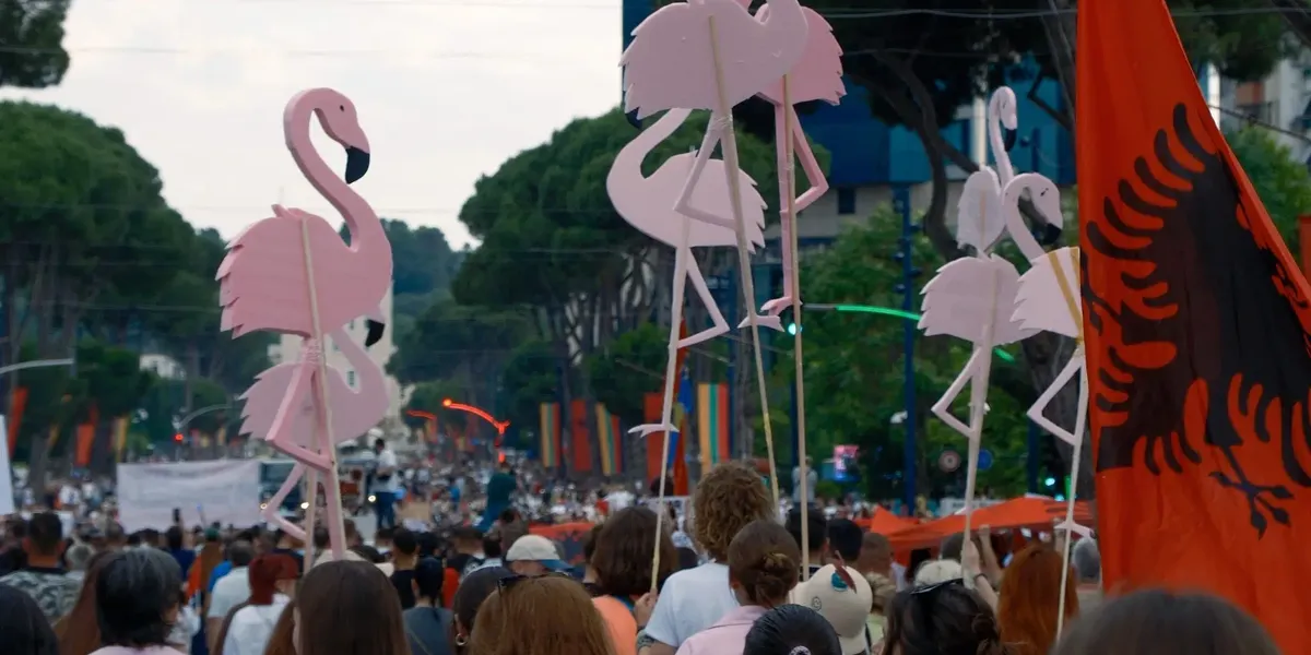 Revolucioni i flamingove në Shqipëri: Nga influencuesit te