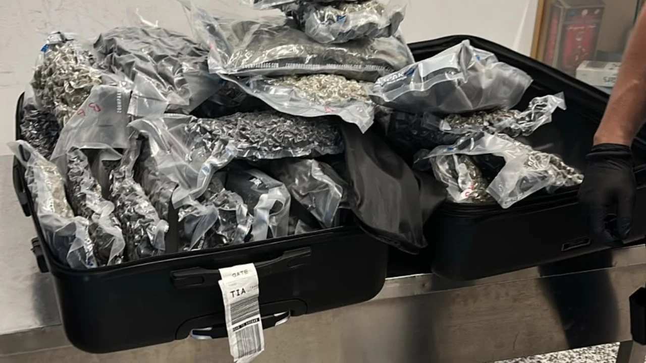 Kapen 46 kg kanabis në aeroport, avioni nga Kanadaja