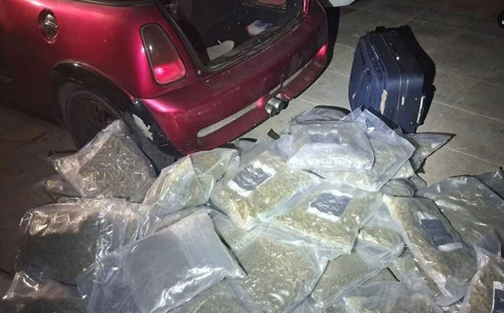 Kanabis në Greqi: 61 kg të sekuestruara, 1 i arrestuar