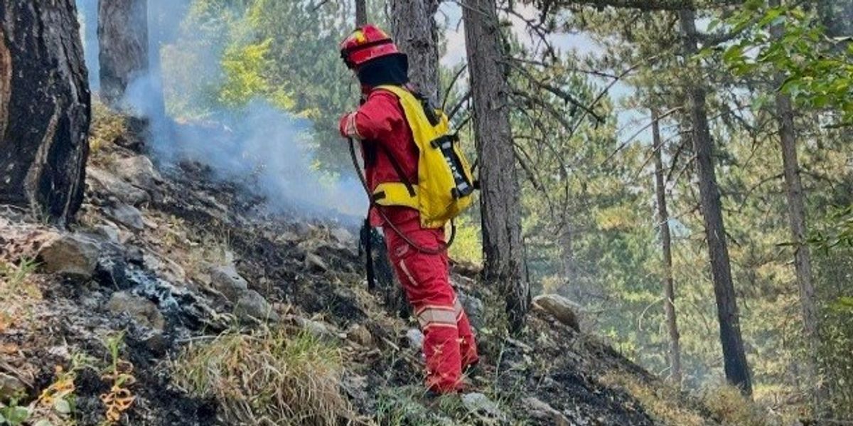 Rrezik i lartë zjarresh në tre qarqe të Shqipërisë