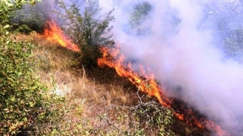 14 zjarre në vend, dy ende aktive: Kërçovë dhe Manastir