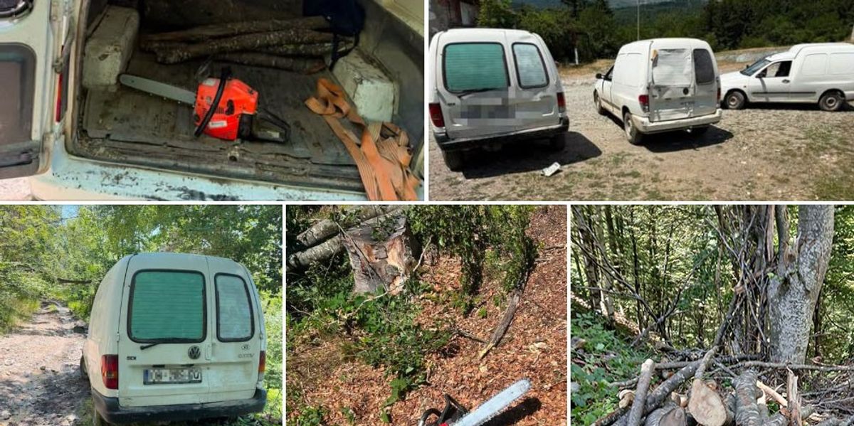 Vjedhje pylli në Kaçanik: Konfiskohen tre motosharra