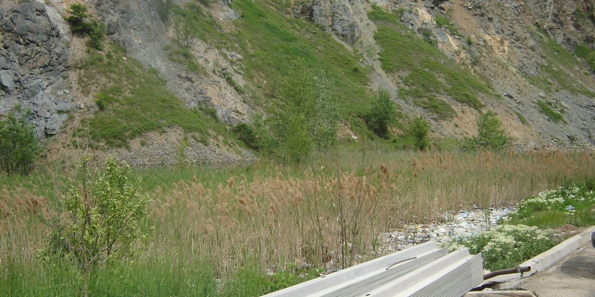 Dyshime për varrezë masive në “Livadhet e Fasules” në Serbi