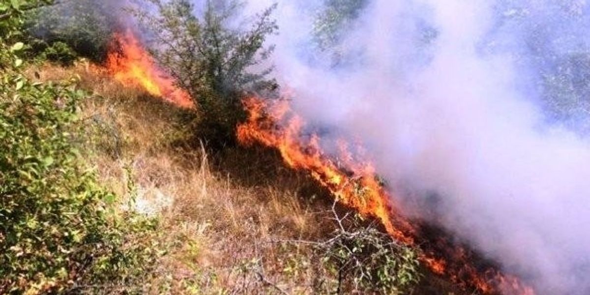 Një zjarr aktiv, 10 të tjerë të shuar ose nën kontroll