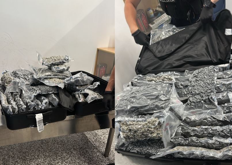 Kanabis në Rinas: Sekuestrohen 46 kg drogë, arrestohen dy
