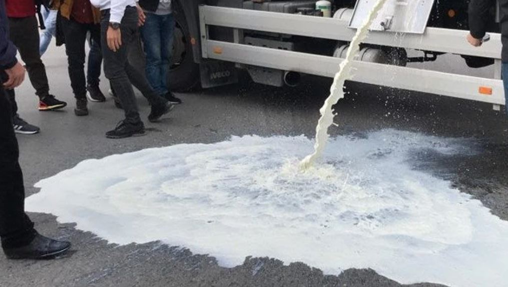Protestë në Prishtinë: Fermerët derdhin qumësht para