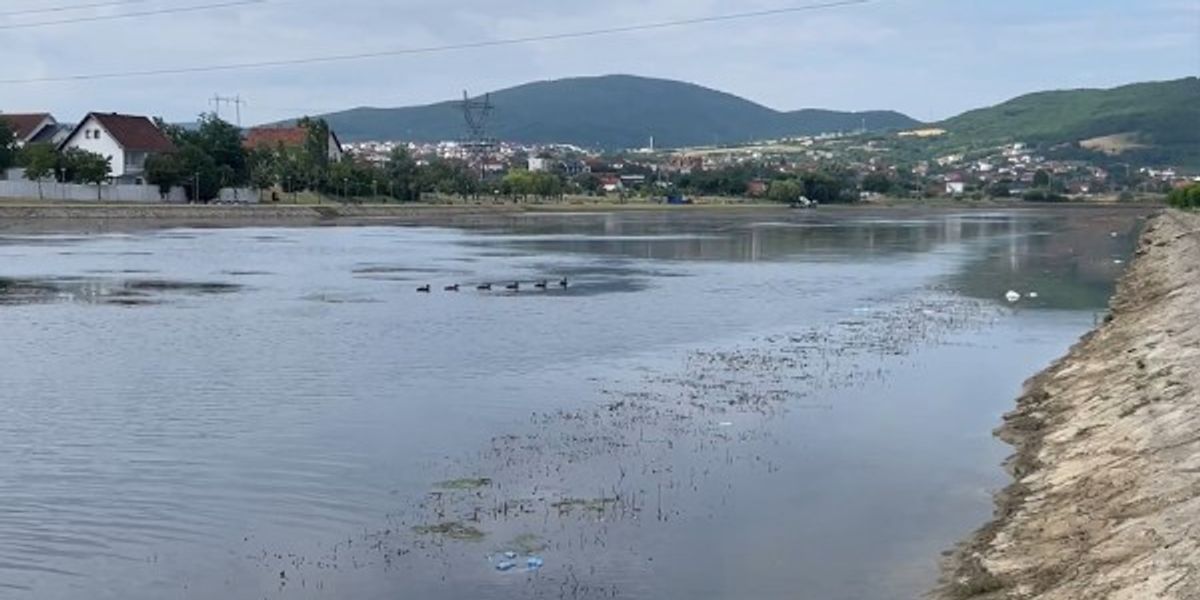 Mitrovicë: Liqeni Artificial i mbuluar me barishte